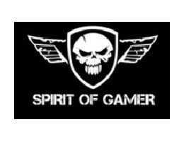 Spirit Of Gamer