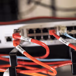 Brother PT-E310BTVP imprimante pour étiquettes Transfert thermique 180 x 180 DPI 20 mm/sec Avec fil &sans fil HSE/TZe Bluetooth QWERTY - Vue supplémentaire 6