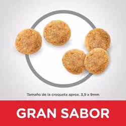 Hills 604072 croquette pour chat 1,5 kg Poulet, Bœuf - Vue supplémentaire 2