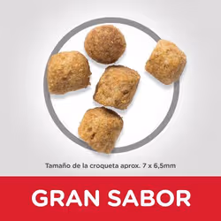 Hills 604180 croquette pour chat 10 kg Poulet, Bœuf - Vue supplémentaire 2