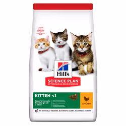 Hills 604049