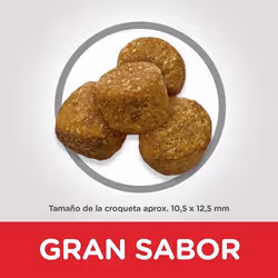Hills 604300 Alimentation sèche pour chiens 2,5 kg Poulet, Bœuf - Vue supplémentaire 2