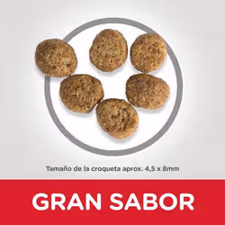 Hills 604079 croquette pour chat 2,5 kg Poulet, Bœuf - Vue supplémentaire 3