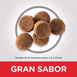 Hills 604386 Alimentation sèche pour chiens 14,5 kg Chiot Poulet, Bœuf - Vue supplémentaire 3
