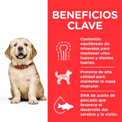 Hills 604386 Alimentation sèche pour chiens 14,5 kg Chiot Poulet, Bœuf - Vue supplémentaire 4