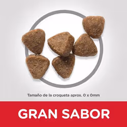 Hills 604055 croquette pour chat 300 g Poulet, Bœuf - Vue supplémentaire 2