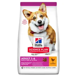 Hill's SCIENCE PLAN 3 kg Adulte Poulet
