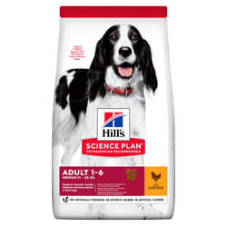Hills 604274 Alimentation sèche pour chiens 2,5 kg Poulet, Bœuf
