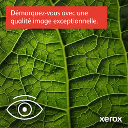 Xerox B225 copie/impression/numérisation recto verso sans fil A4, 34 ppm, PS3 PCL5e/6, chargeur automatique de documents, 2 maga - Vue supplémentaire 11
