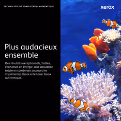 Xerox 106R03745 Cartouche de tonerOriginal Noir - Vue supplémentaire 11