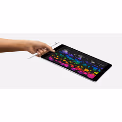 Apple iPad Pro 512 Go 26,7 cm (10.5") iOS 10 Gris - Vue supplémentaire 7