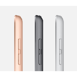 Apple iPad 4G LTE 32 Go 25,9 cm (10.2") iPadOS Gris