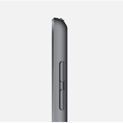 Apple iPad 32 Go 25,9 cm (10.2") 3 Go iPadOS Gris