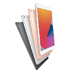 Apple iPad 32 Go 25,9 cm (10.2") 3 Go iPadOS Gris