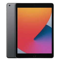Apple iPad 32 Go 25,9 cm (10.2") 3 Go iPadOS Gris