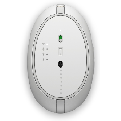 HP Souris rechargeable Spectre 700 (Argent turbo)