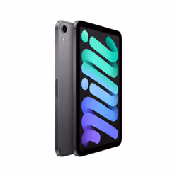 Apple iPad mini 5G TD-LTE & FDD-LTE 256 Go 21,1 cm (8.3") Wi-Fi 6 (802.11ax) iPadOS 15 Gris - Vue supplémentaire 2