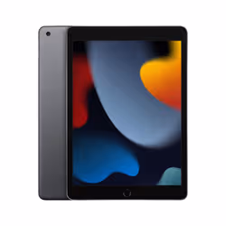 Apple iPad 9th generation 10.2" 64 Go Gris