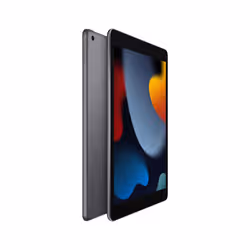 Apple iPad 256 Go 25,9 cm (10.2") Gris - Vue supplémentaire 2