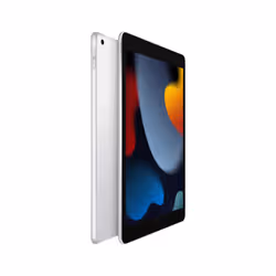 Apple iPad 256 Go 25,9 cm (10.2") Wi-Fi 5 (802.11ac) iPadOS 15 Argent - Vue supplémentaire 2