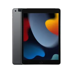 Apple iPad LTE 256 Go 25,9 cm (10.2") 3 Go Wi-Fi 5 (802.11ac) iPadOS 15 Gris