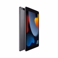 Apple iPad LTE 256 Go 25,9 cm (10.2") 3 Go Wi-Fi 5 (802.11ac) iPadOS 15 Gris - Vue supplémentaire 2