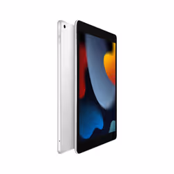 Apple iPad 4G LTE 256 Go 25,9 cm (10.2") Argent - Vue supplémentaire 2