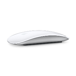 Apple Magic Mouse souris Bluetooth