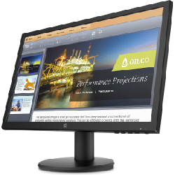 HP P21b G4 52,6 cm (20.7") Full HD LED Noir