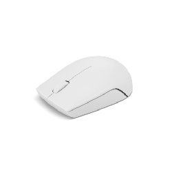 Lenovo 300 WIRELESS MOUSE?GREY souris Ambidextre RF sans fil Optique 1000 DPI