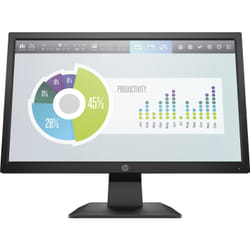 HP P204v 19.5-inch Monitor