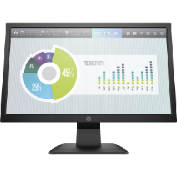 HP P204v 19.5-inch Monitor