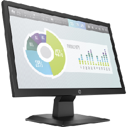 HP P204v 19.5-inch Monitor