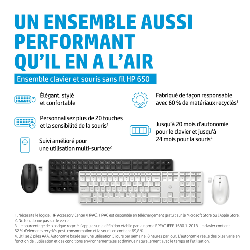 HP Ensemble clavier et souris sans fil 650