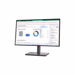 Lenovo ThinkVision P27h-30 LED display 68,6 cm (27") 2560 x 1440 pixels Quad HD LCD Noir - Vue supplémentaire 4