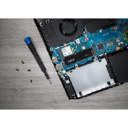 Crucial P3 M.2 1000 Go PCI Express 3.0 3D NAND NVMe