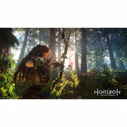 Sony Interactive Entertainment Horizon : Zero Dawn - Complete Edition - PLAYSTATION HITS Reissue PlayStation 4 - Vue supplémentaire 7
