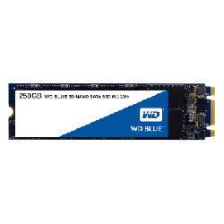 Western Digital Blue 3D M.2 250 Go (WDS250G2B0B)