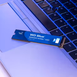 Western Digital Blue SN5000 NVMe 500GB 500 Go M.2 PCI Express 4.0 3D TLC NAND - Vue supplémentaire 3