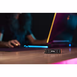 Kingston Technology 1000G FURY RENEGADE M.2 2280 NVMe SSD - Vue supplémentaire 12