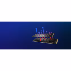 Kingston Technology 1000G FURY RENEGADE M.2 2280 NVMe SSD - Vue supplémentaire 13