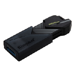 Kingston Technology DataTraveler 256GB Portable USB 3.2 Gen 1 Exodia Onyx