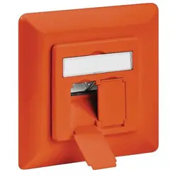 Intellinet 771559 prise de courant 2 x RJ-45 Orange