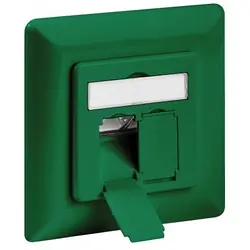 Intellinet 771597 prise de courant 2 x RJ-45 Vert
