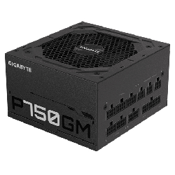 Gigabyte P750GM unité d'alimentation d'énergie 750 W 20+4 pin ATX ATX Noir (GP-P750GM)