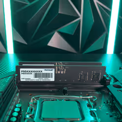 Patriot Memory Signature Premium Patriot module de mémoire 32 Go 1 x 32 Go DDR5 5200 MHz - Vue supplémentaire 8