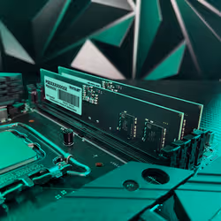 Patriot Memory Signature Premium Patriot module de mémoire 32 Go 1 x 32 Go DDR5 5200 MHz - Vue supplémentaire 10