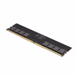Lexar LD5U32G56C46ST-BGS module de mémoire 32 Go 1 x 32 Go DDR5 5600 MT/s 262-pin SO-DIMM ECC - Vue supplémentaire 2