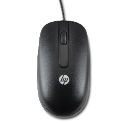 HP Souris à molette optique USB (QY777AA)