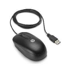 HP Souris à molette optique USB (QY777AA)